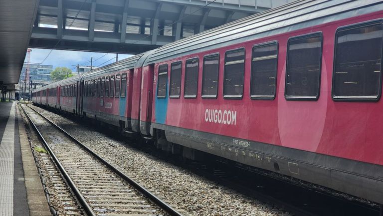 The low cost Ouigo Classique trains depart from and arrive at the Gare d'Austerlitz